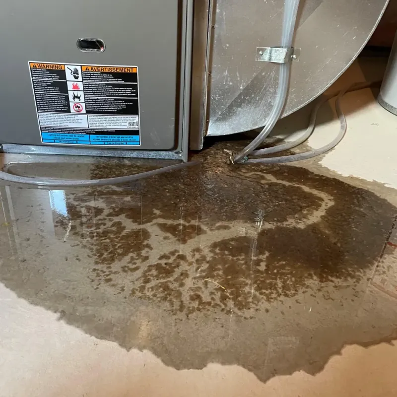 Appliance Leak Cleanup in Nellis Air Force Base, NV